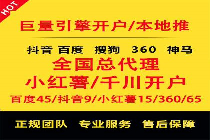 顶级SEM服务公司案例解析